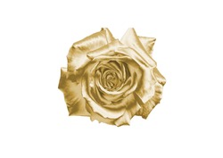 Gold flower on a white background .