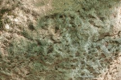 Stone natural textured background of sand color with green spots. Natural stone wall of sand color with green moss and small holes.
