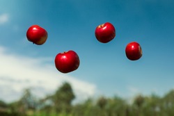 ripe apples in zero gravity thrown into the air