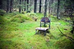 Abandoned, lost forest place with very old and damaged chair for relaxing and green mosh. Autumn spooky empty forest. Loneliness and emptiness concept.
