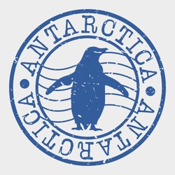 Antarctica Seal - Free Stock Photo by mohamed hassan on Stockvault.net