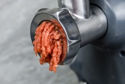 Making ground meat in modern food processor with meat grinder