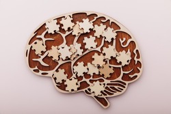 Wooden brain and puzzles. Mental Health and problems with memory