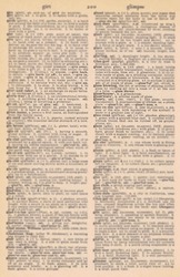 Vintage Dictionary Full Text G