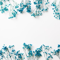 Blue baby's breath, gypsophila dry flowers on white background. flat lay, top view, copy space