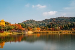 Autumn of Pureun arboretum near Hangdong Railroad in Seoul, Korea