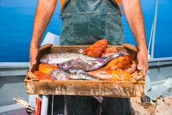 A basket with fresh fishes, on fisherman boat, Crete, Greece.