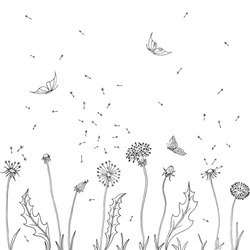 Dandelions. Fly seeds of dandelion. Vector illustration of a sketch. Summer background with flowers and butterfly.
