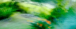 Tropical flower in the rainforest, wild flower, bird of paradise, strelitzia, green and orange vivid colors, intentional movement, picture in motion, abstract