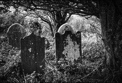 Gravestones at Nevern Church Cemetery. Pembrokeshire, Wales 