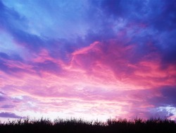 Purple sky sunset