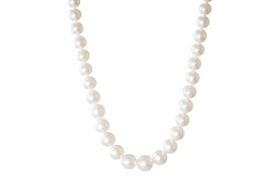 pearl necklace  in the white background including clipping path
