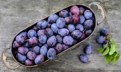 Organic blue plums in a copper bowl, placed on a rustic wooden table