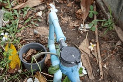 The water meter is located on the ground in the garden.