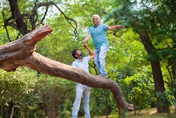 Old men climbing with senior man on a tree in a summer park