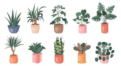 Trendy collection of home cute plants in flowerpots pack icons. Set of houseplants and flowers in pots modern illustrations. Vector aloe, yucca, dracaena, snake plant, schefflera, monstera home flower