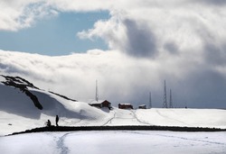 Chinstrap penguin, climbing snow slope; near Argentine Cámara Base; Solitary chinstrap penguin, in a landscape; Two chinstrap penguins, in a landscape; Half Moon Island, South Shetland