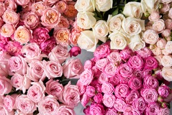 Floral carpet, flower texture, shop concept. Beautiful fresh blossoming flowers roses, spray roses. Blossom of pastel color in vases and pails. Top view.