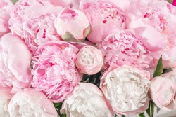 Elegant bouquet of a lot of peonies of pink color close up. Beautiful flower for any holiday. Lots of pretty and romantic flowers in floral shop.
