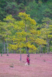 A beautiful Asian woman in red dress standing in pine forest on the beautiful pink grass. Nature and tourism.