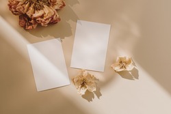 Blank paper sheet cards with mockup copy space and dry flower buds with sunlight shadow on beige background. Minimal business brand template. Flat lay, top view