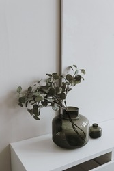 Dried eucalyptus leaves branch bouquet in glass vase on table against white wall. Aesthetic minimalist home living room interior design decoration details. Elegant luxury apartment decor