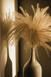 Aesthetic bohemian pampas grass in vase against neutral beige wall. Bohemian minimal home interior design with sunlight shadows