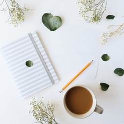 Cup of coffee with milk, sketchbook, pencil, green leaves and dried flowers. Overhead view. Isolated on white. Flat lay, top view