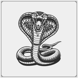 The emblem with king cobra for a sport team. Print design for t-shirt.