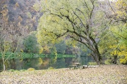 Beautiful views of the autumn river Berounka forest and mountains, Czech.