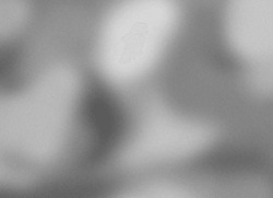 noise blur background wallpaper carpet cover packaging wrapping backdrop black and white sample presentation gradient texture surface flyer grey filthy surface mockup banner design concept simple view