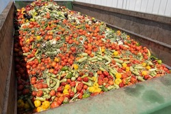 Mix of Expired Vegetables in a huge container, Organic bio waste in a rubbish bin. Heap of Compost from vegetables or food for animals.