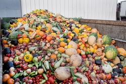 Expired food Organic bio waste. Mix Vegetables and fruits in a huge container, in a rubbish bin. Heap of Compost from vegetables or food for animals.