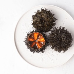 Sea urchins (ricci di mare) or uni, on the white dish.  Delicious seafood from Mediterranean Italy, Spain, Japan. Natural texture, square crop