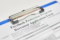 Application form. Paycheck Protection Program Borrower Application Form