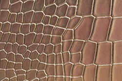 Crocodile bone skin texture background. Black Leather background and texture.
