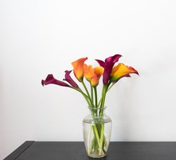 Close up of orange and red calla lilies in glass vase on black shelf with white background