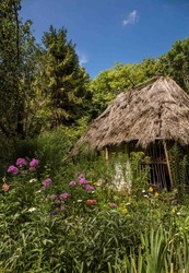 A beautiful old wooden cottage with thatched roof set in a beautiful summer herbal garden. From Ukraine