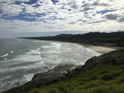 Muriwai's gannet colony is a one hour drive from the centre of Auckland. The views from the colony are very impressive.