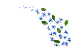 Field flowers design with blue cornflowers on white background top view mockup