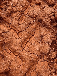 Drought is a weather condition characterizes. This can lead to problems like drought disasters, soil degradation, and dangerous dry and hard water bodies that hinder the growth of plants.