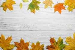 Autumn border with leaves on vintage white wood background.