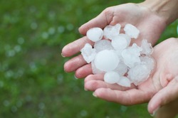 Hail in the palm