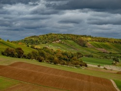 Vineyards with south slope in autumn in Baden-Württemberg