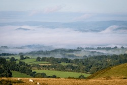 The view South West from above Llandrindod Wells in Wales, UK. Mist lies low in the valley concealing the town of Builth Wells, sheep, trees and rolling hills are seen in the foreground.