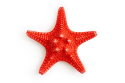 Dried red sea starfish isolated on white background. Top view 