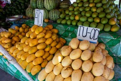 Yellow and green mango pile with species name and price tag on rustic market stall. Asian fruit market stall. Philippine mango season. Fresh fruit for sell. South Asia agriculture. Yellow mango stack