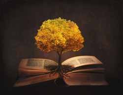 Book of life, knowledge, wisdom - old tree and its roots on open pages of a magic book; 