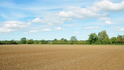 Farm Landscape of Ploughed Earth and a Cloudy Blue Sky Above