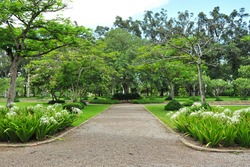 Path in a Peaceful Landscape Garden Park
